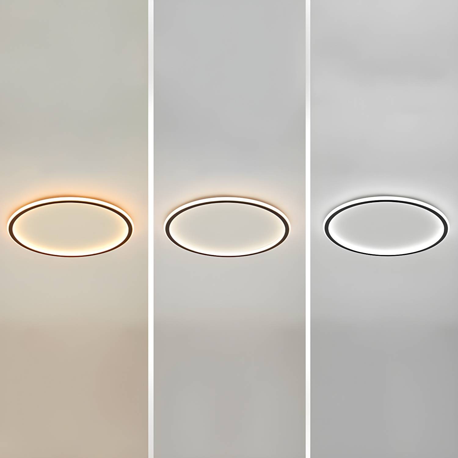 Imported image 33001799c8ba 3107955.jpg