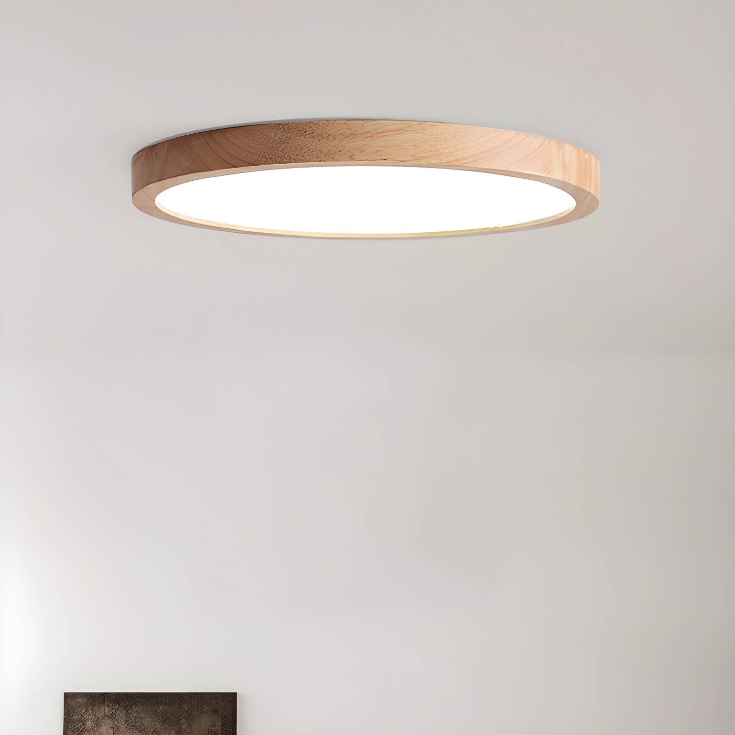 Imported image e56bf910d7f3 3107990.jpg