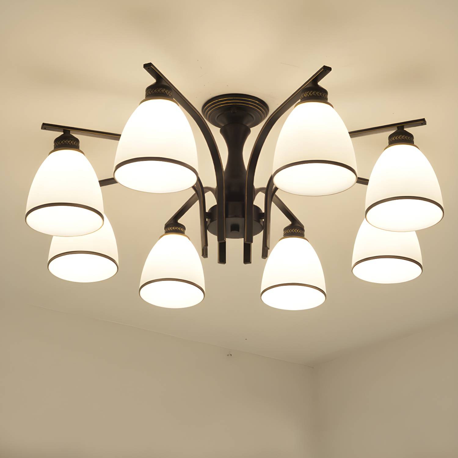 Imported image 53d5177ed873 3108031.jpg