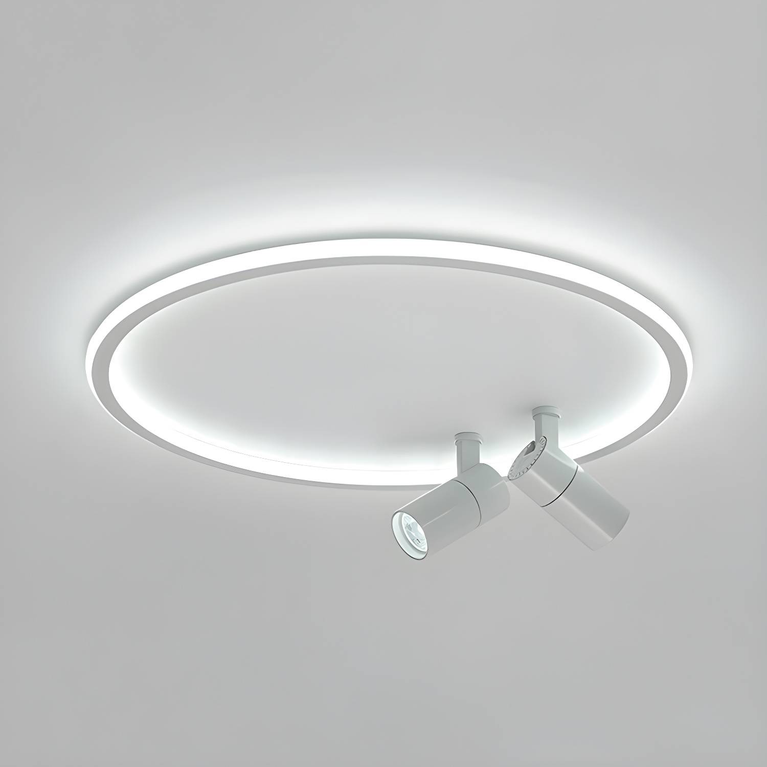Imported image ec6541491dd5 3108051.jpg
