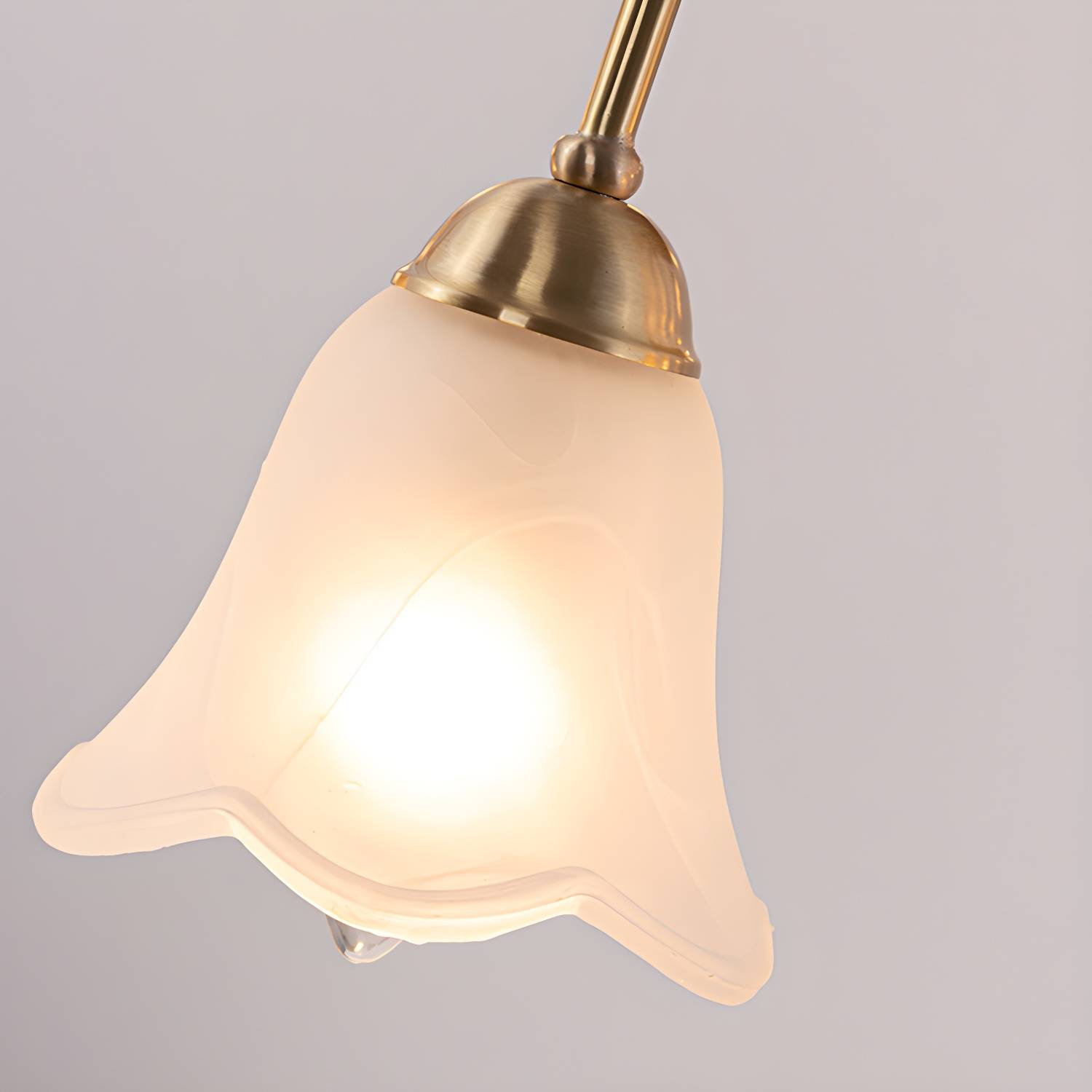 Imported image 51a5028370db 3108396.jpg