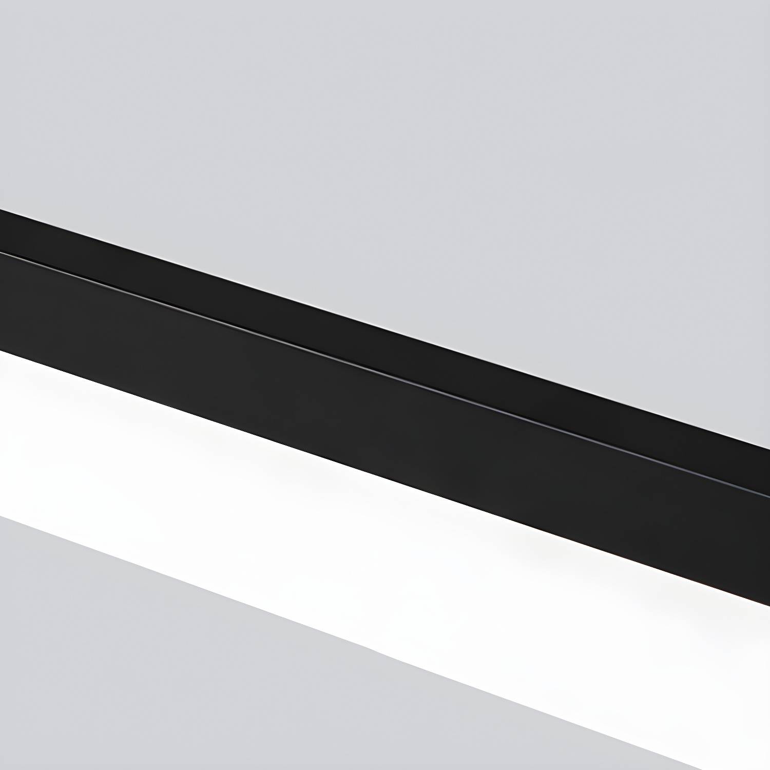 Imported image cf3ba41df55f 3108619.jpg