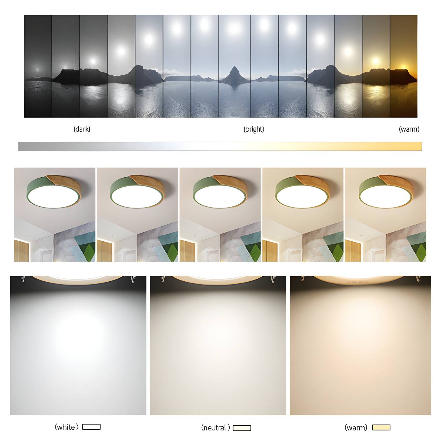 Imported image 9871e808fa8a 3108788.jpg