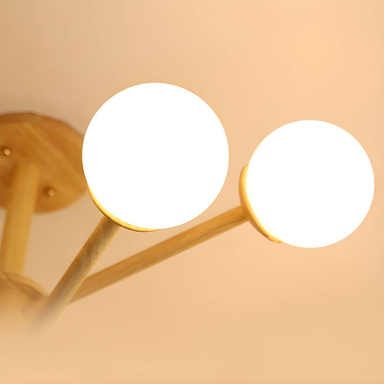 Imported image f491373cccc2 3108852.jpg