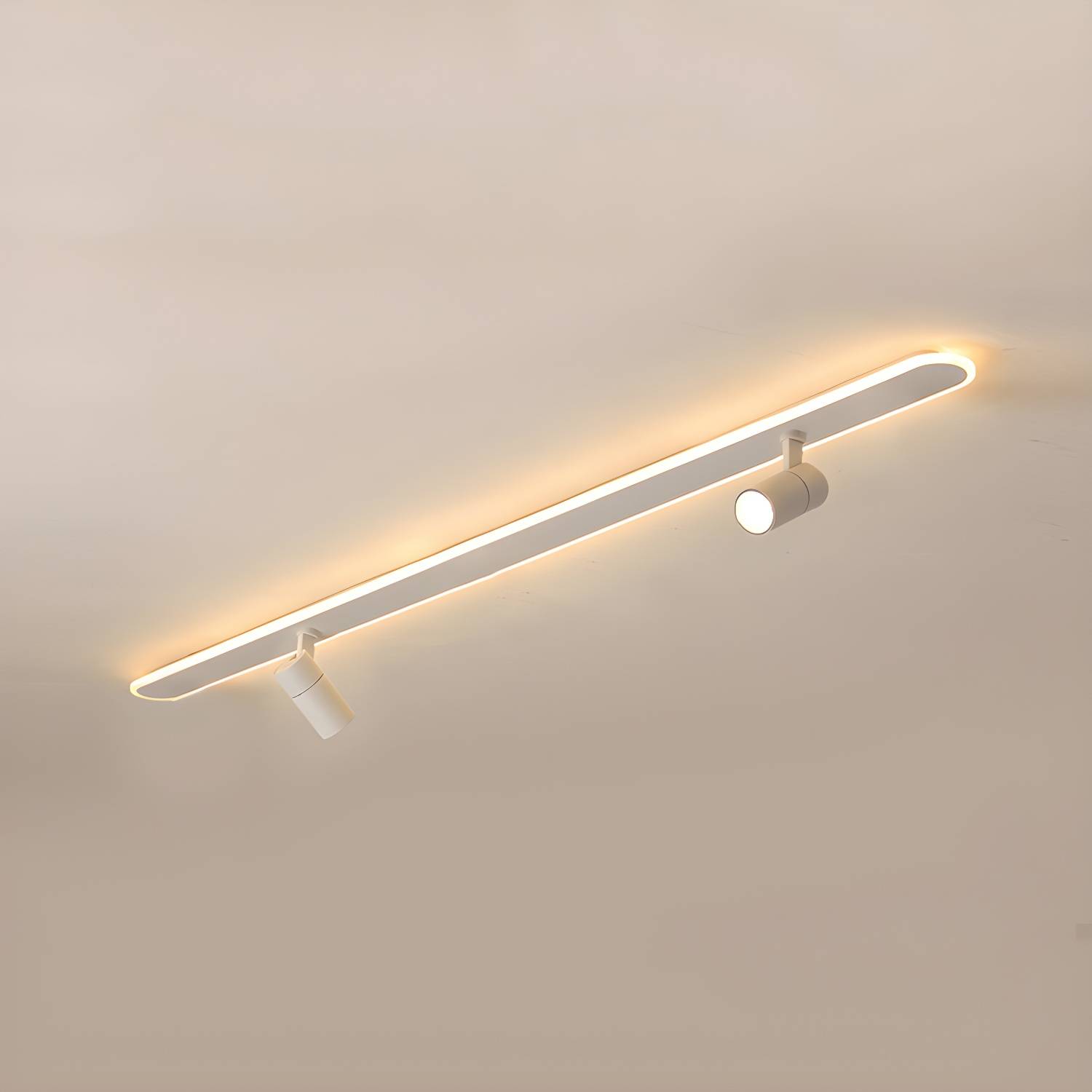 Imported image 588a8ce0a971 3111801.jpg