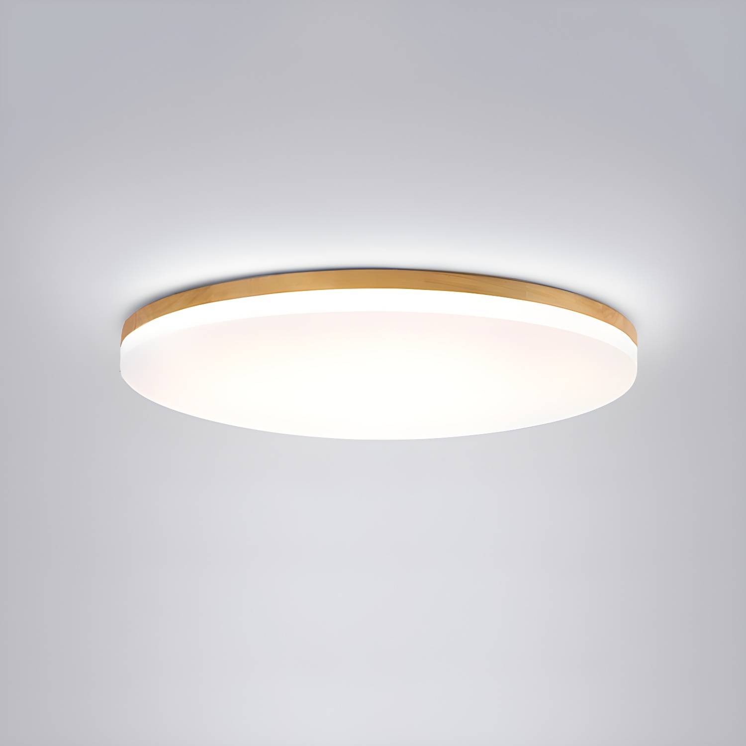 Imported image 5cc4f1552eee 3111953.jpg