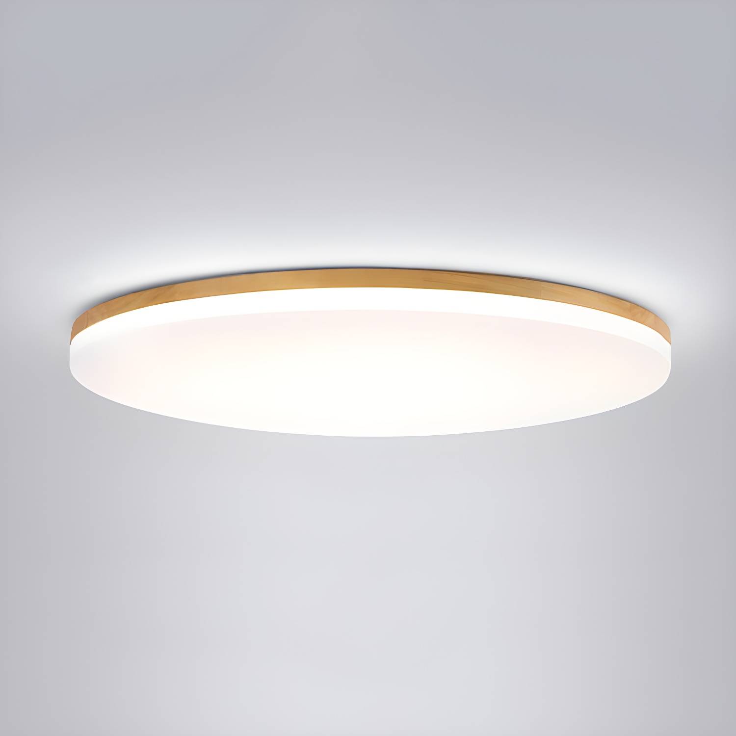 Imported image db9998fff437 3111954.jpg