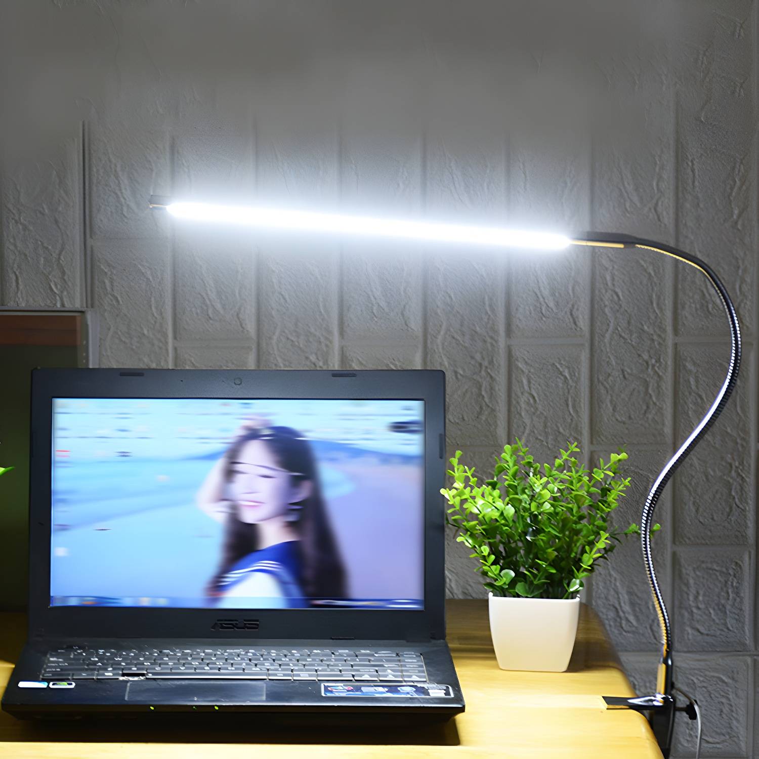 Imported image d9c54d6d02de 3112365.jpg