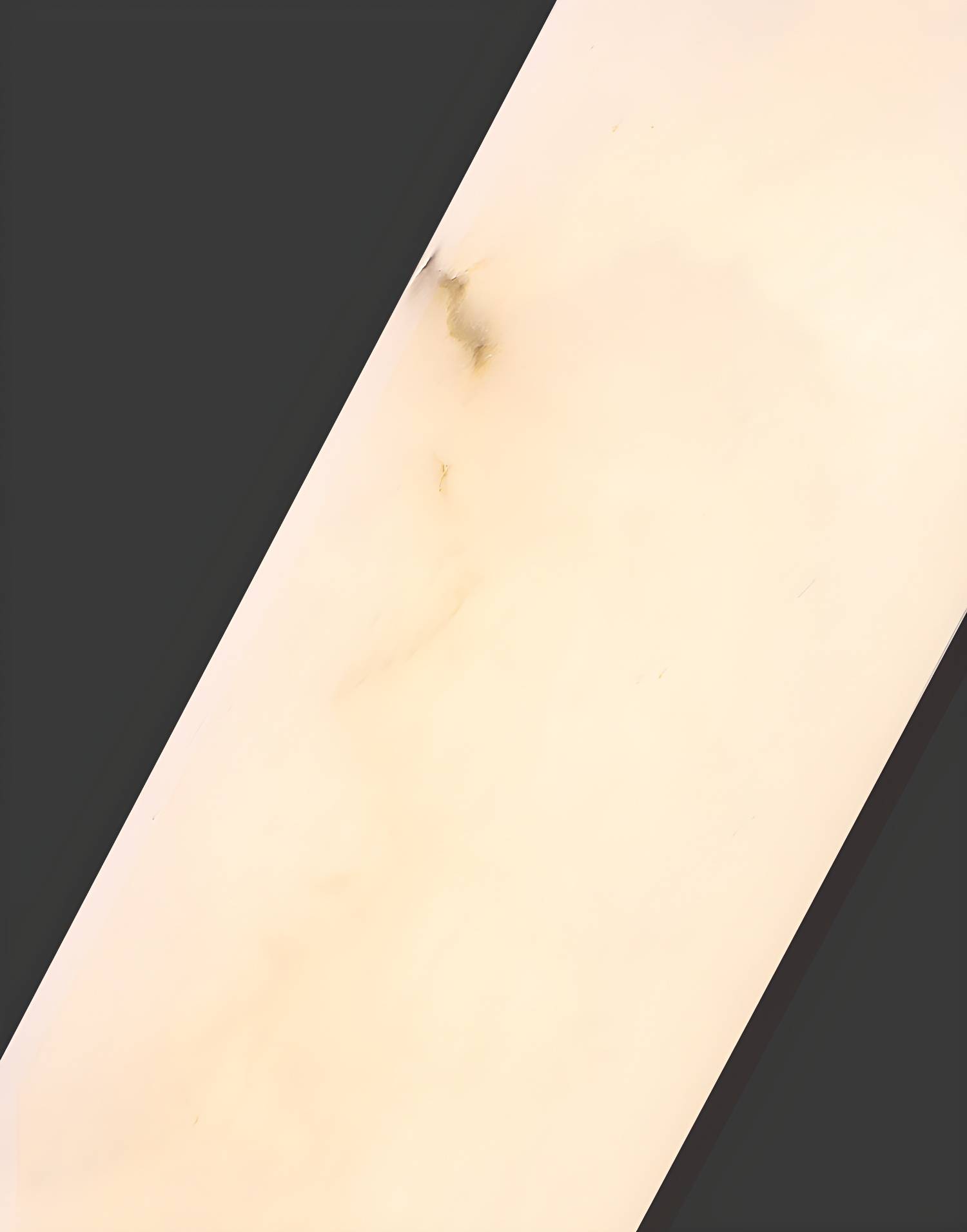 Imported image 943d13b1e348 3112377.jpg