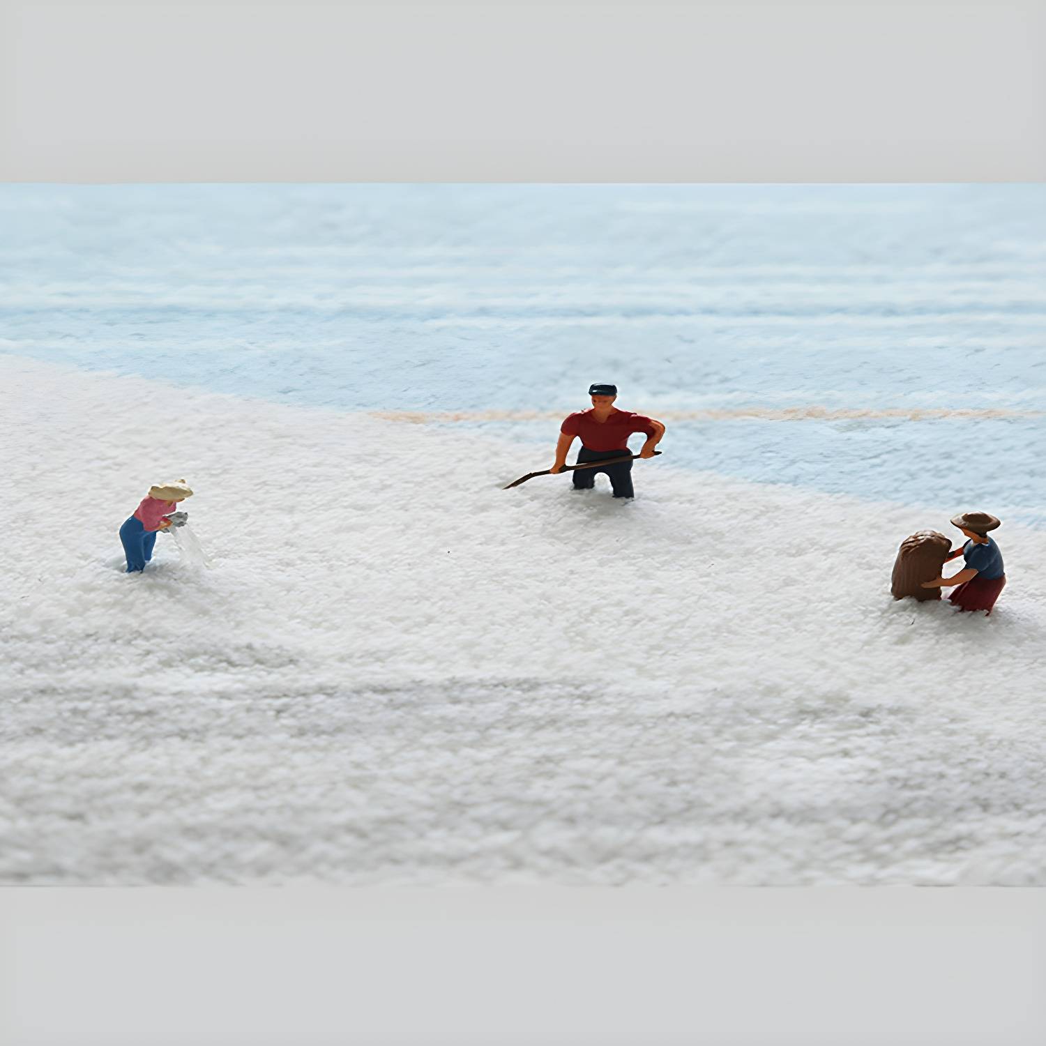 Imported image e3f18761dd87 3117062.jpg