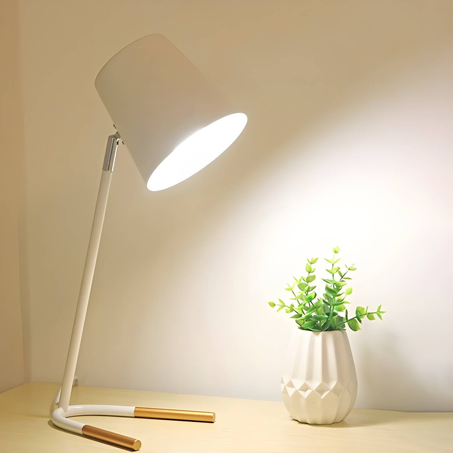 Imported image b0334784aa98 3125150.jpg