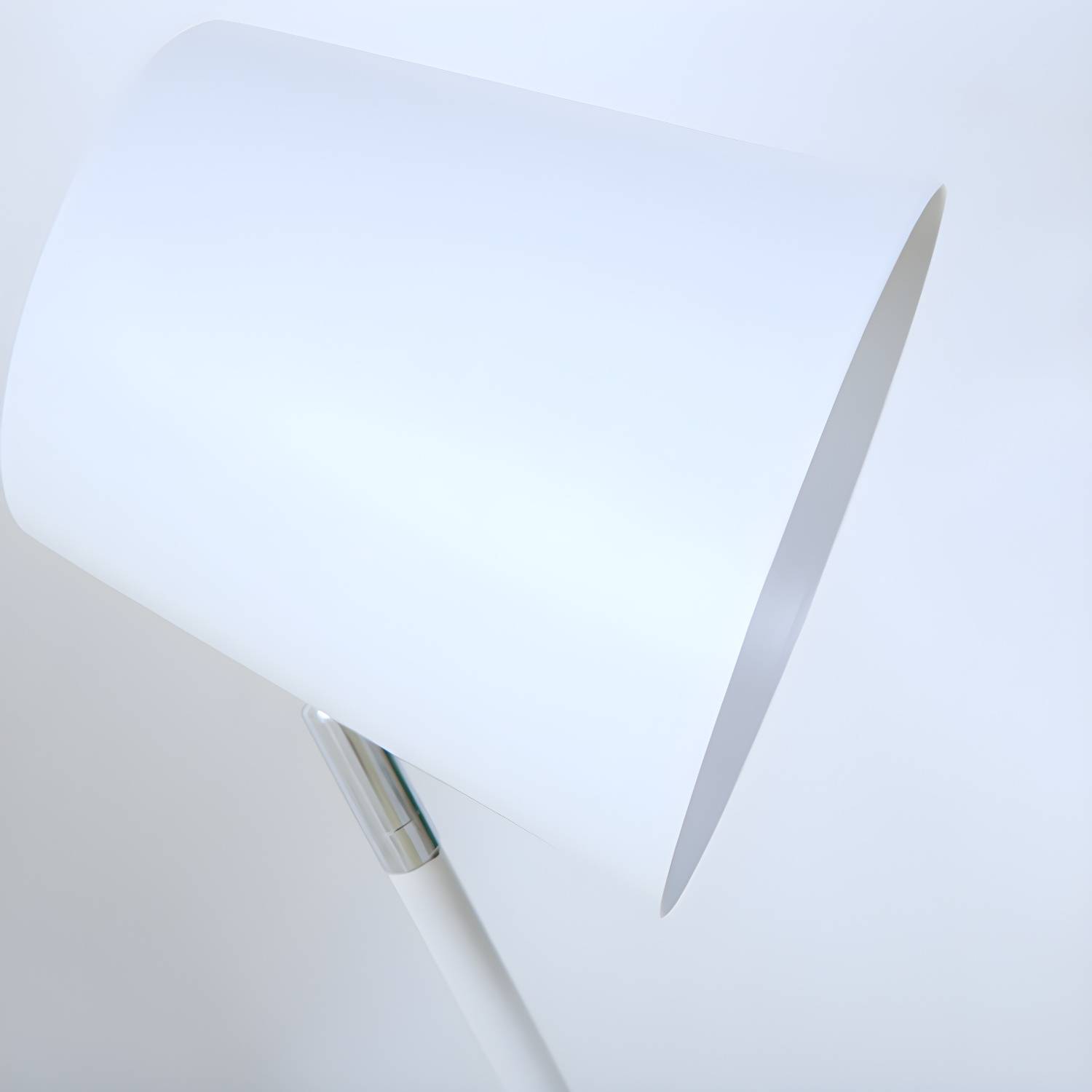 Imported image 8a26e742db80 3125163.jpg