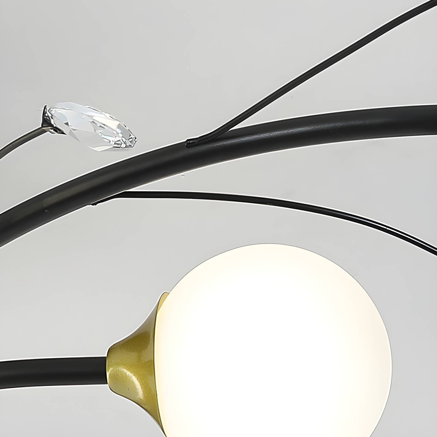Imported image 869b2dc92552 3136674.jpg