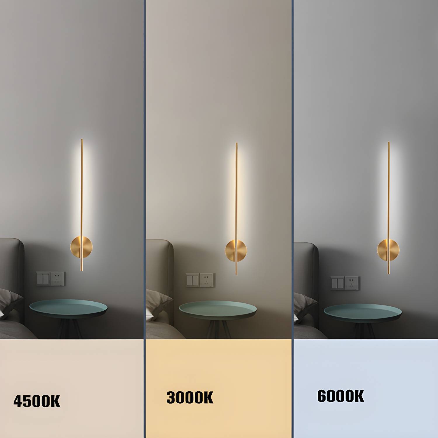 Imported image 438ee65e27c2 3149329.jpg
