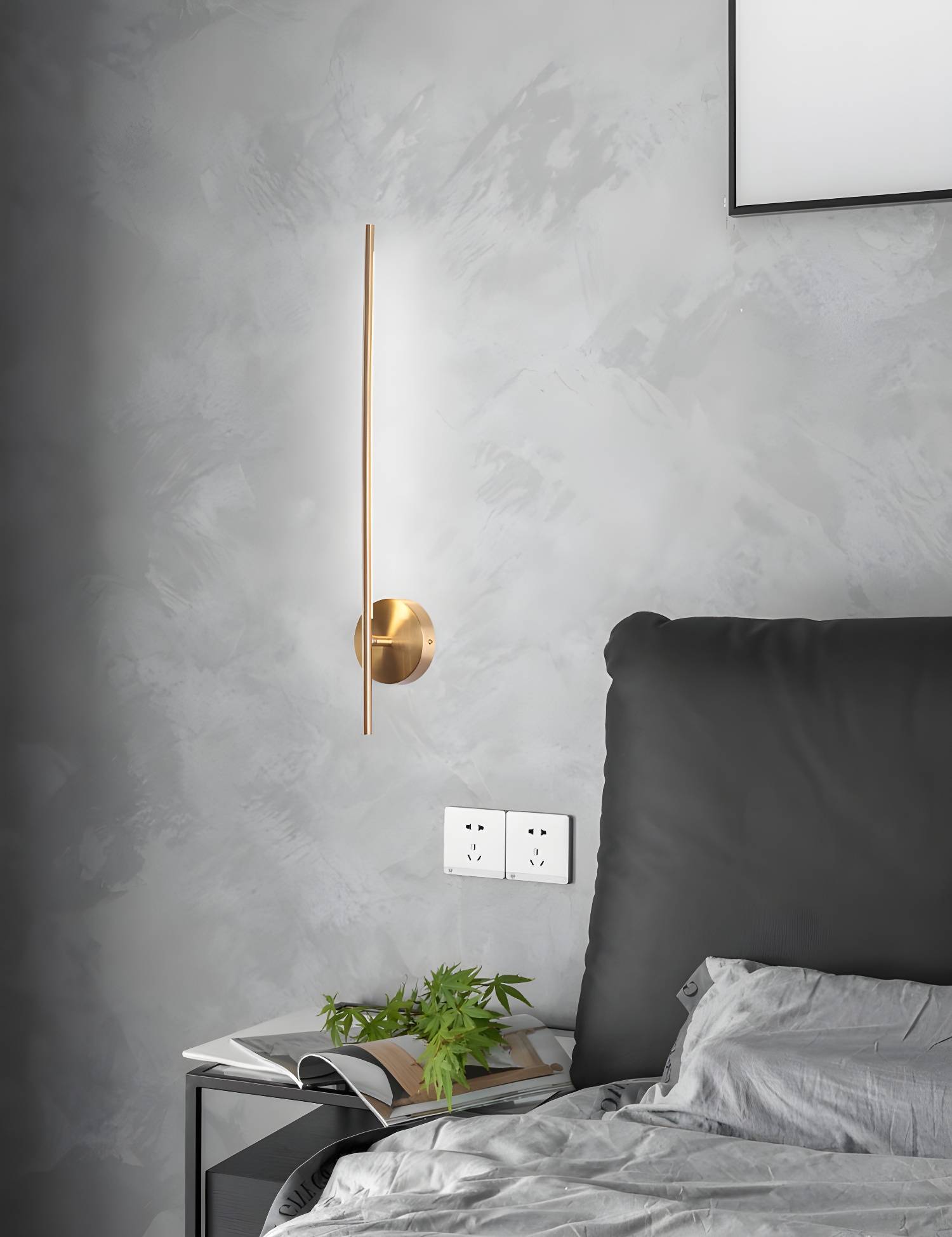 Imported image d8ed9149c16e 3149334.jpg