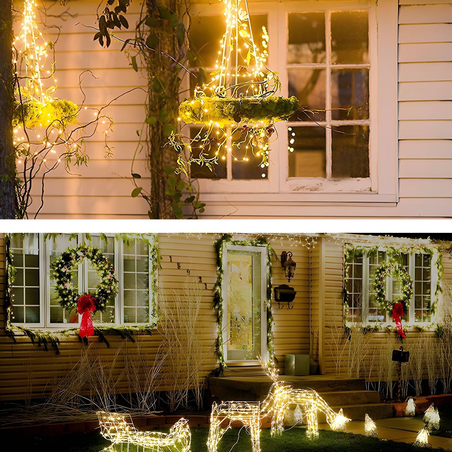 Imported image c0756d5bb732 3159590.jpg