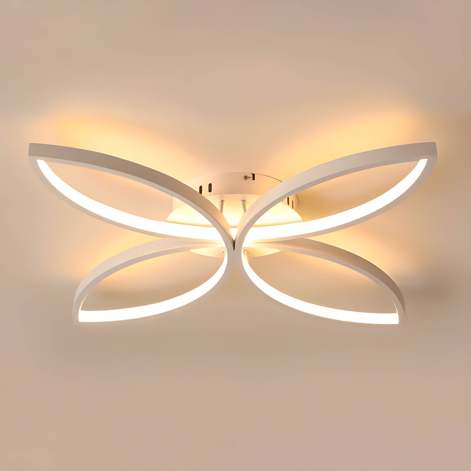 Imported image d5ea068b0c0f 3159763.jpg