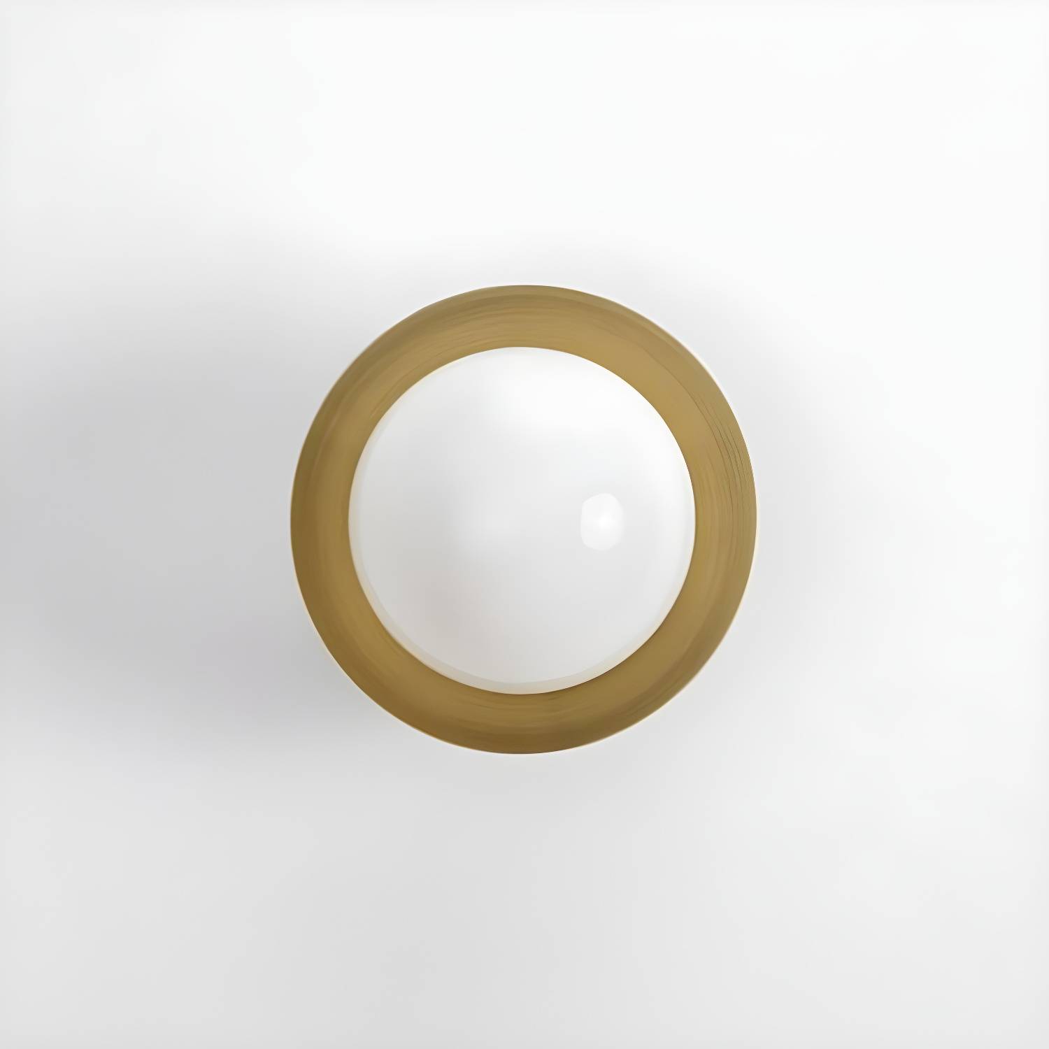 Imported image 50eb59c7e380 3160232.jpg