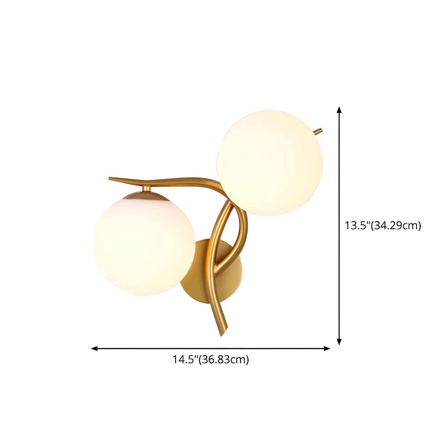 Imported image e263a6edda94 3165805.jpg