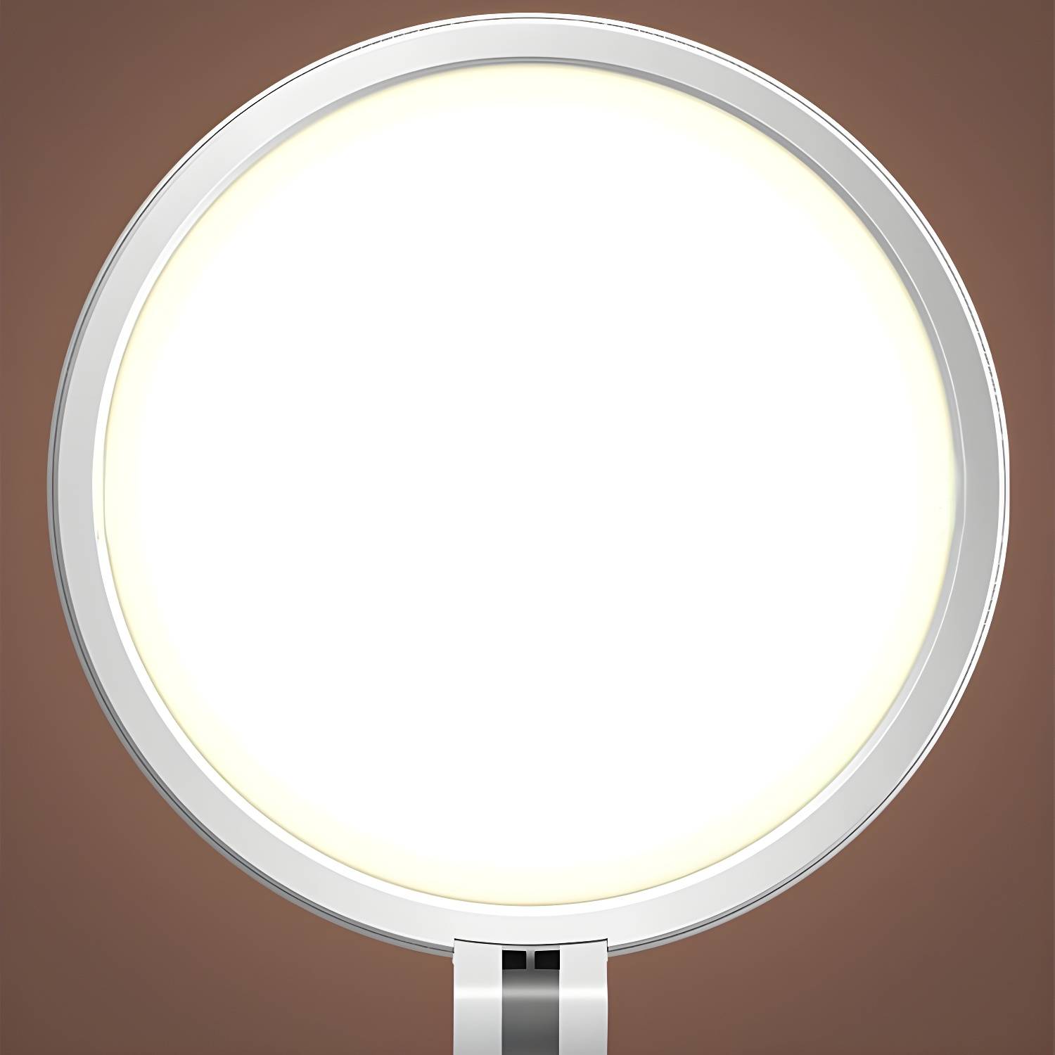 Imported image d9aa54986fb9 3165975.jpg