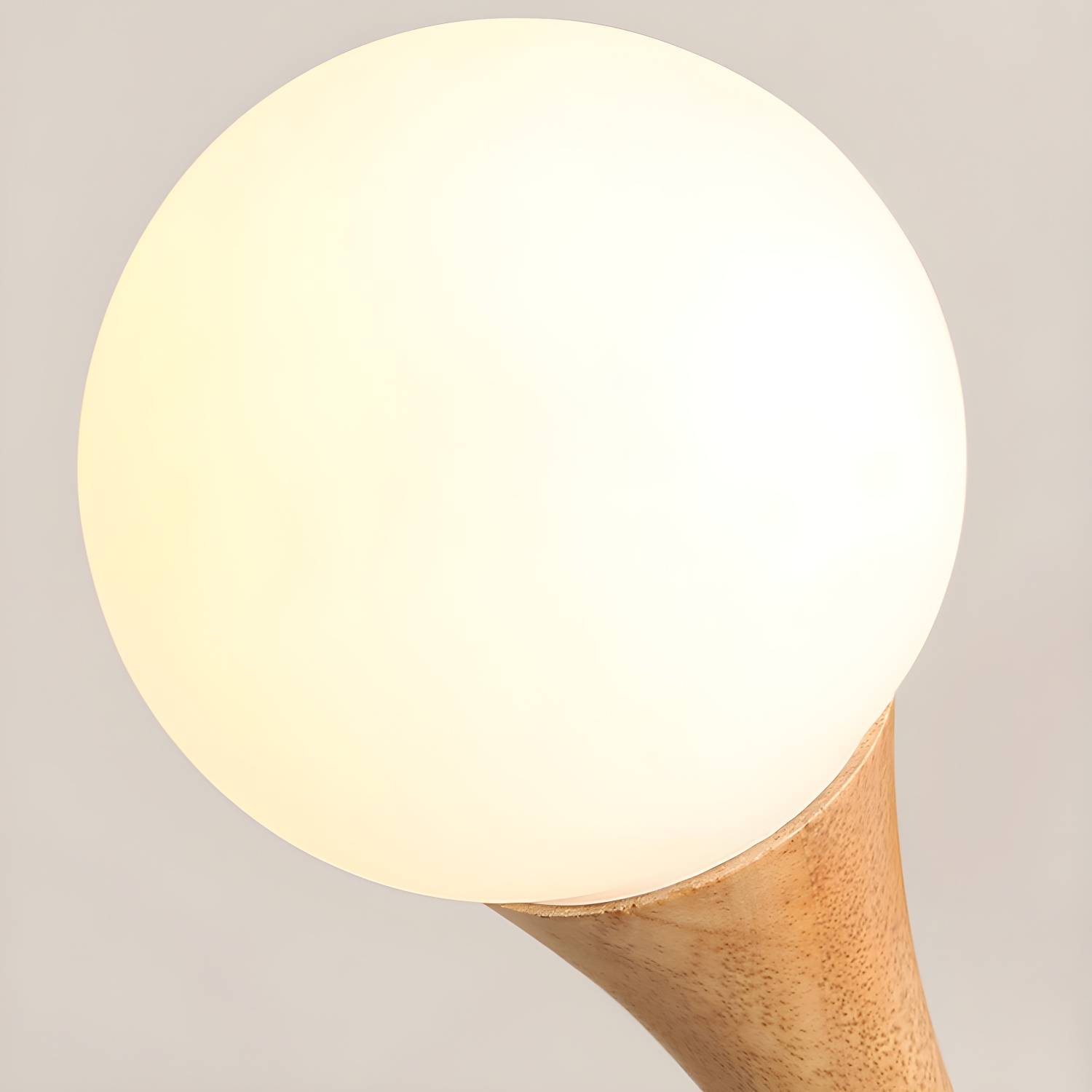 Imported image b3d0c7fc9a62 3169304.jpg