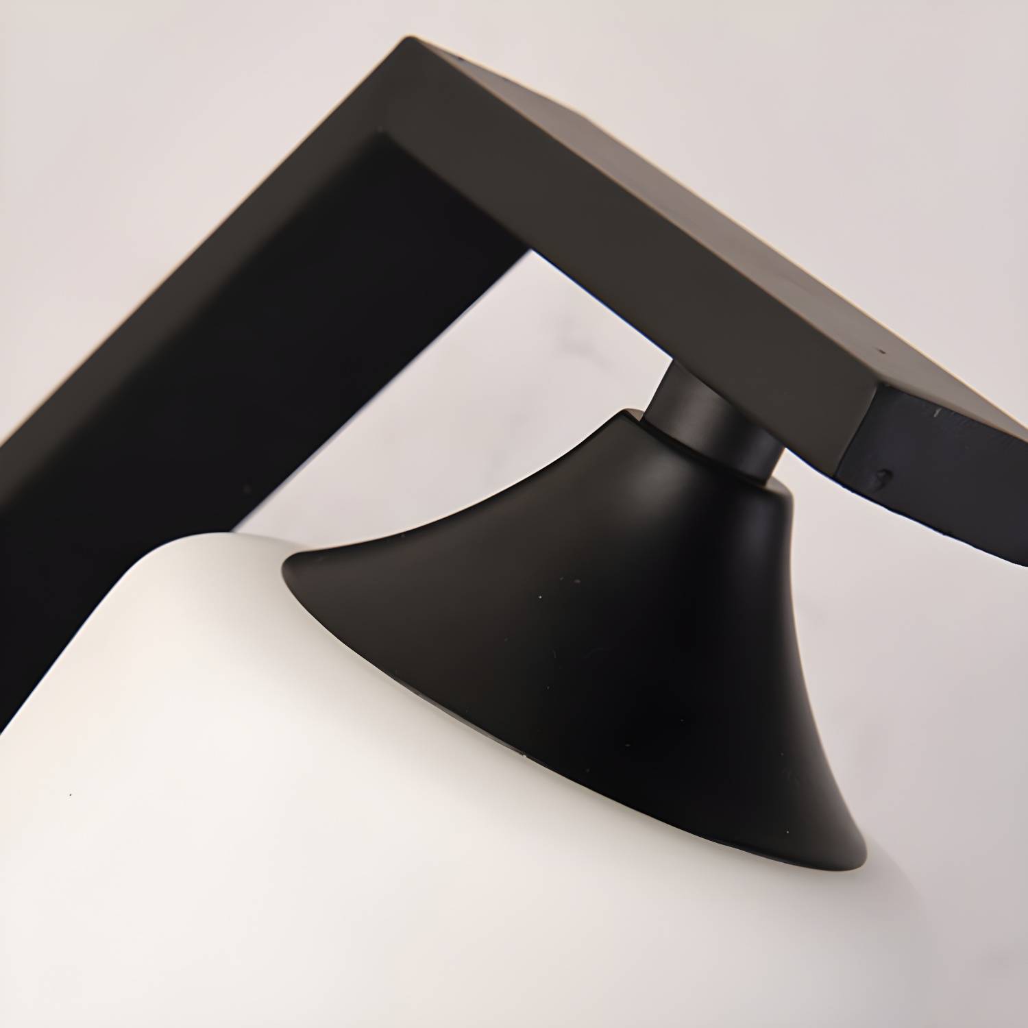 Imported image a0109a1a7317 3169665.jpg