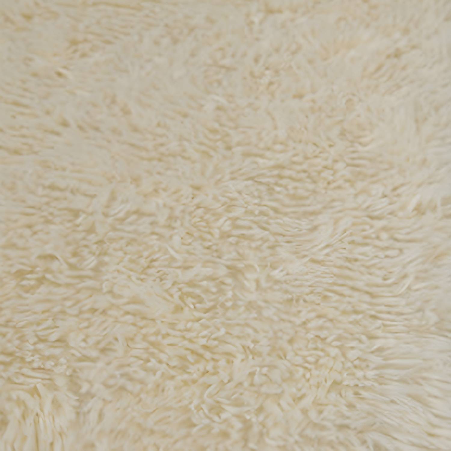 Imported image 6c988aff22d8 3179025.jpg