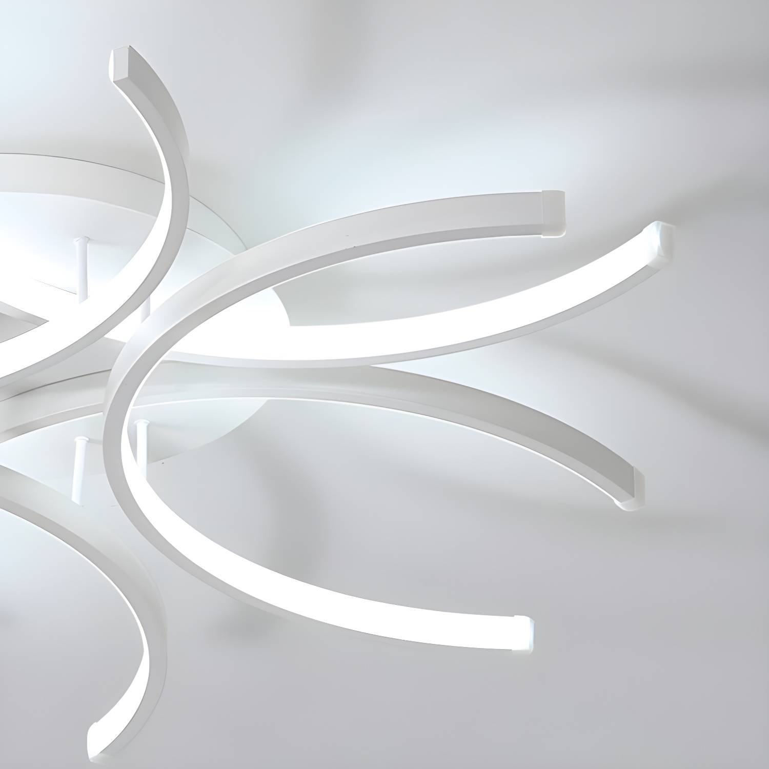 Imported image f3a0d2e6e791 3179239.jpg