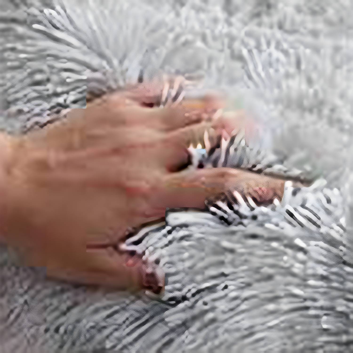 Imported image fab3352850f6 3187733.jpg