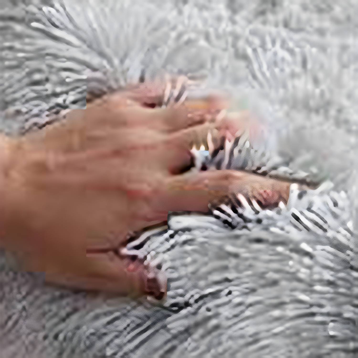 Imported image 9a4cf0126430 3187772.jpg
