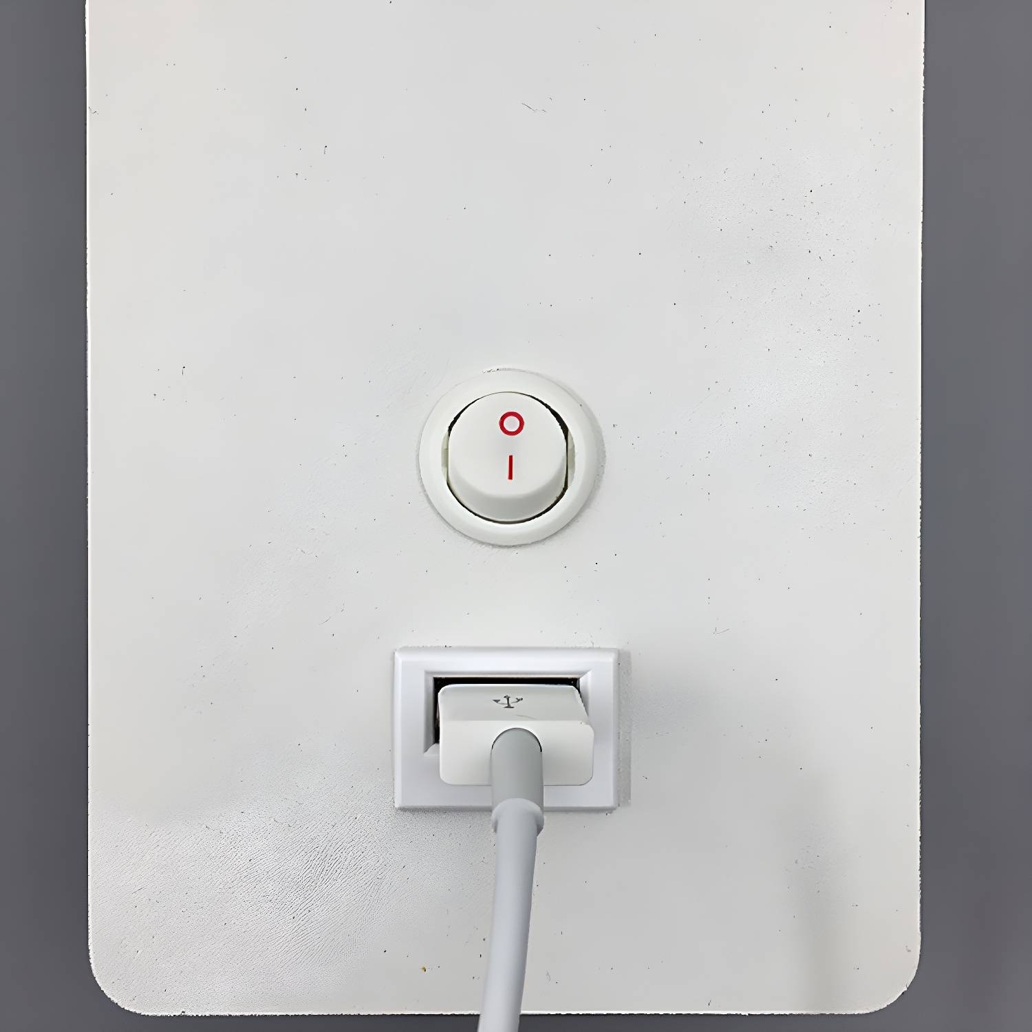 Imported image 88fa4286d8b1 3187890.jpg