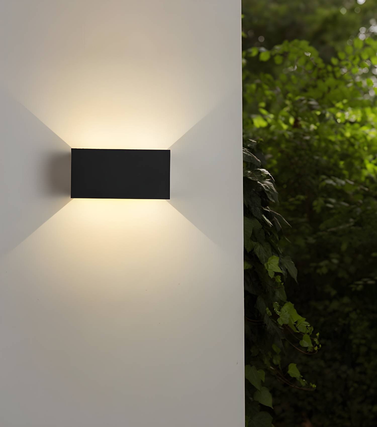 Imported image 75a02a3cc033 3188001.jpg