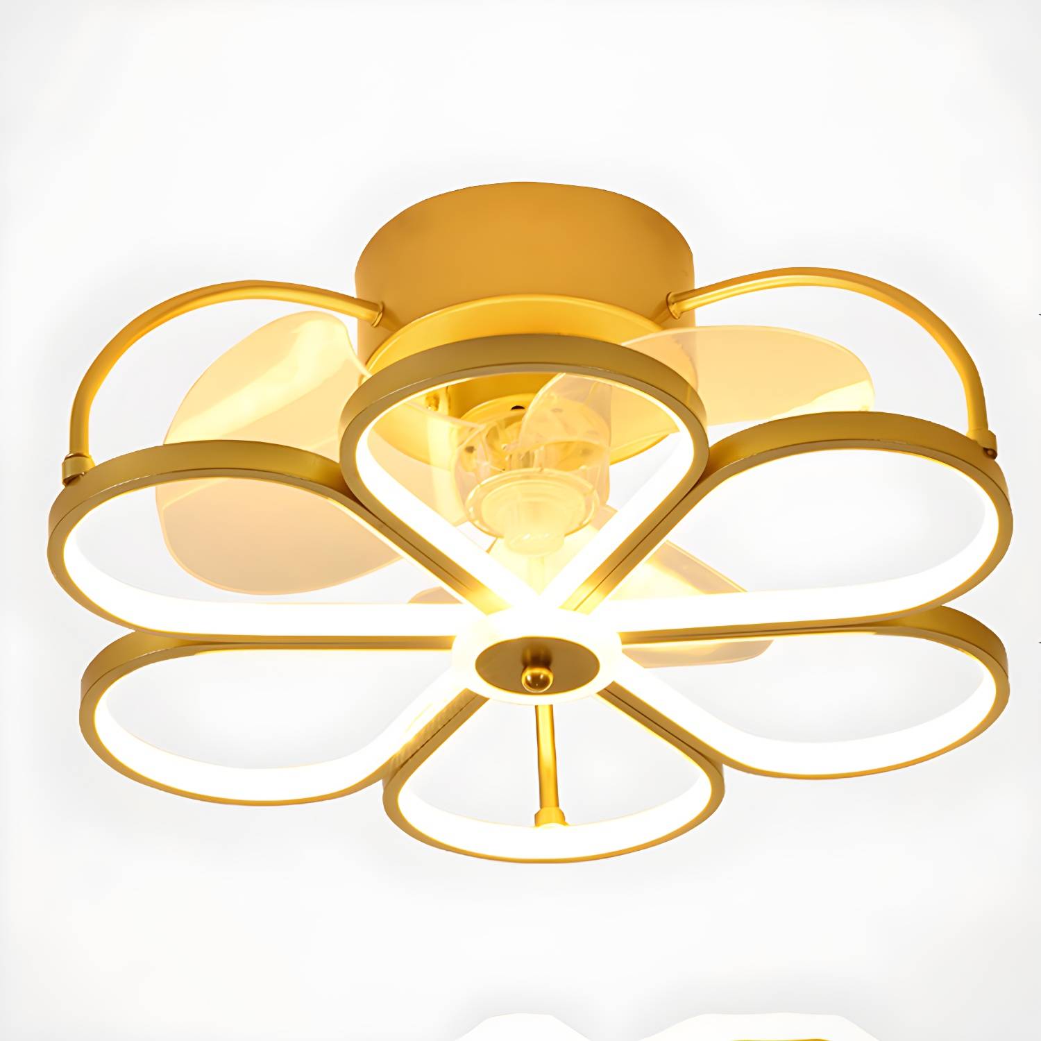 Imported image 5d6d37910e16 3190127.jpg