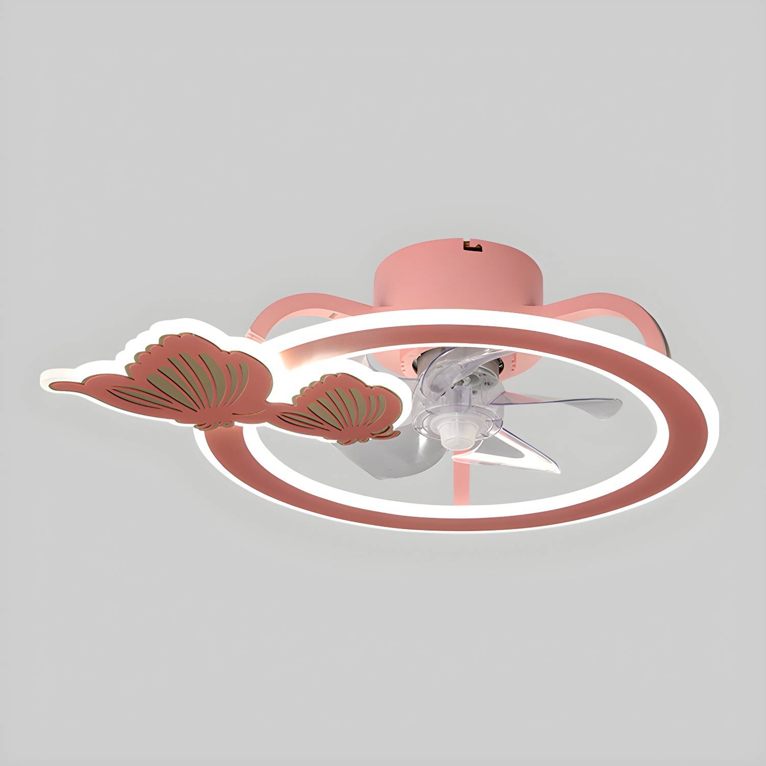 Imported image 539d572e3d16 3195933.jpg