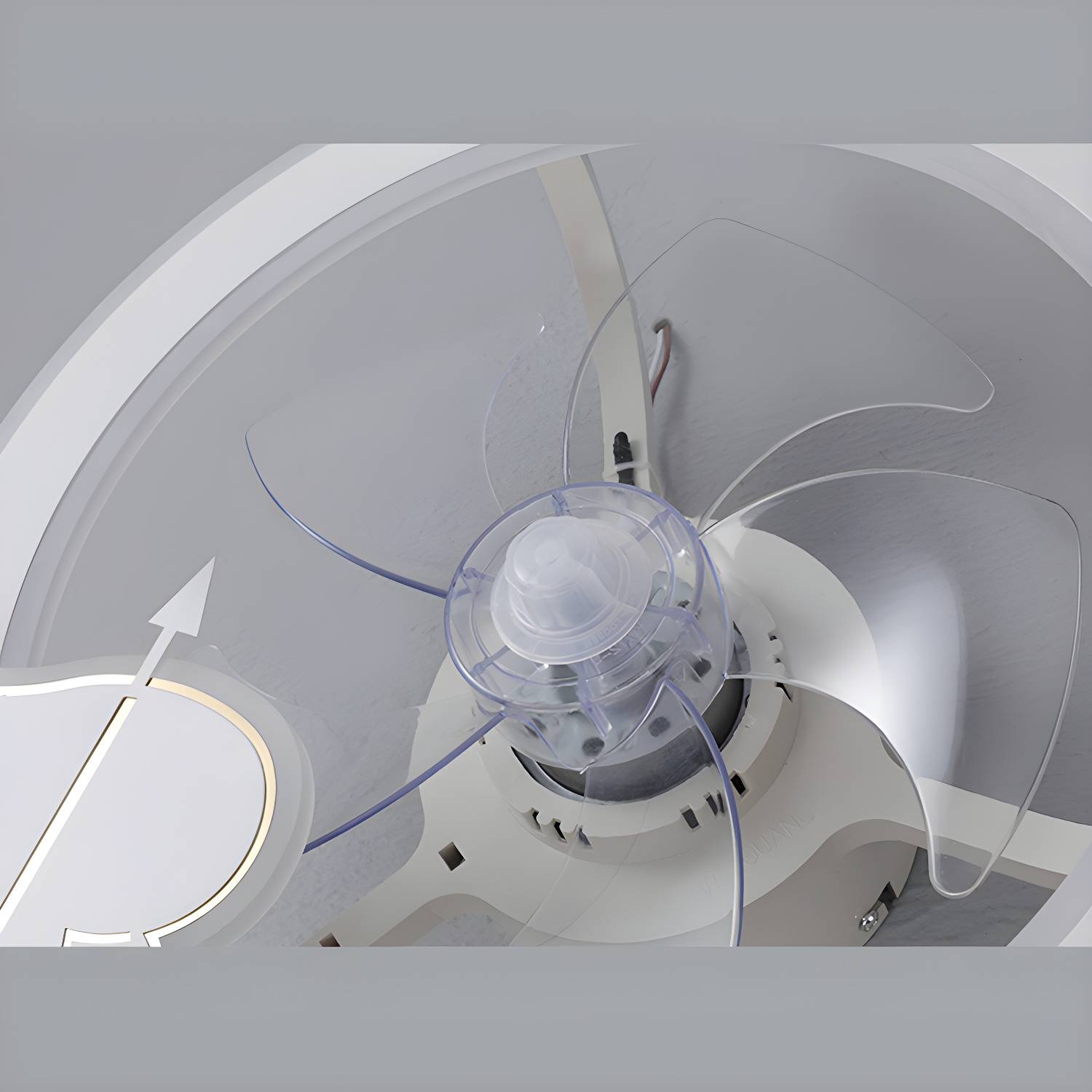 Imported image b78a680bcf41 3195946.jpg