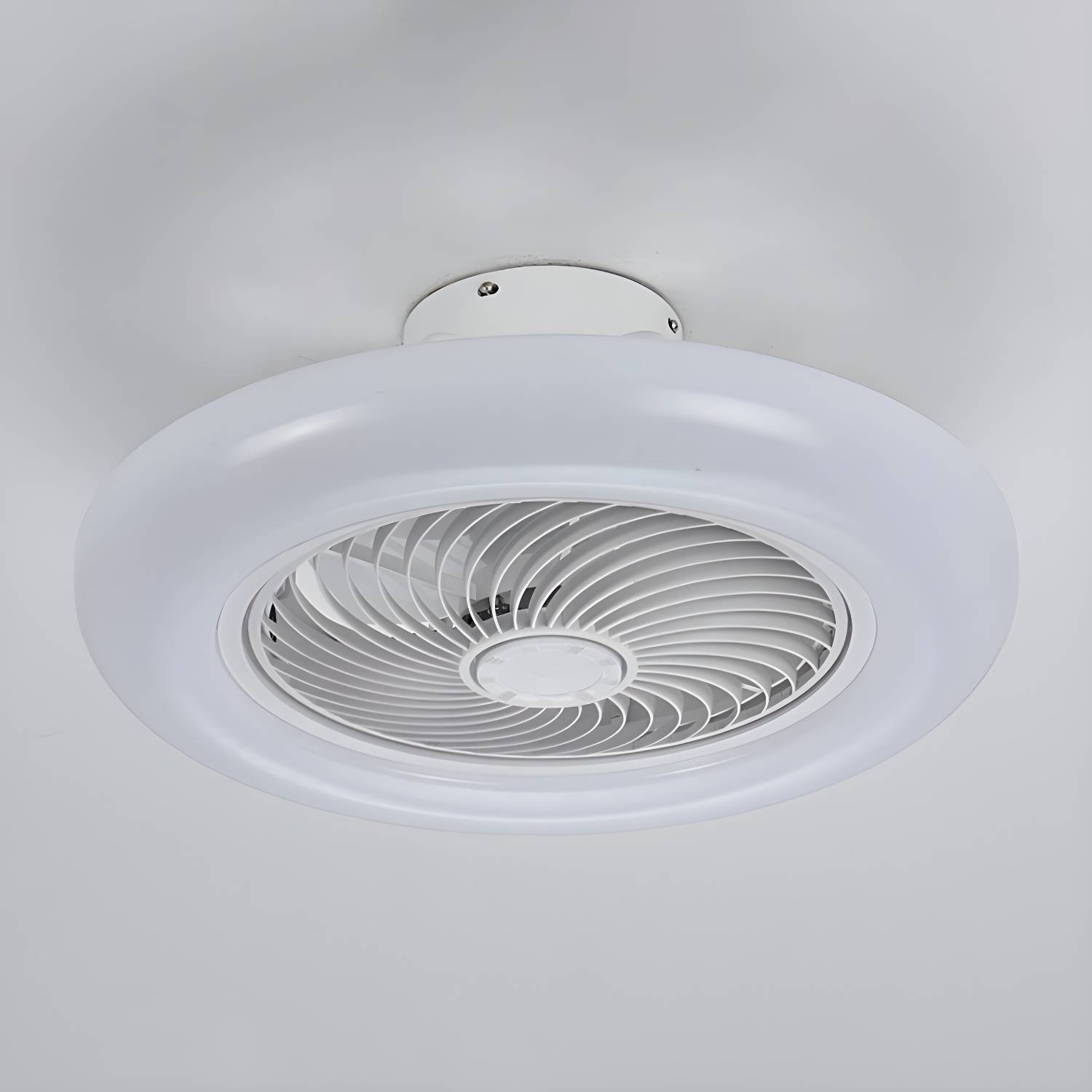 Imported image 880d0b696ecc 3196019.jpg