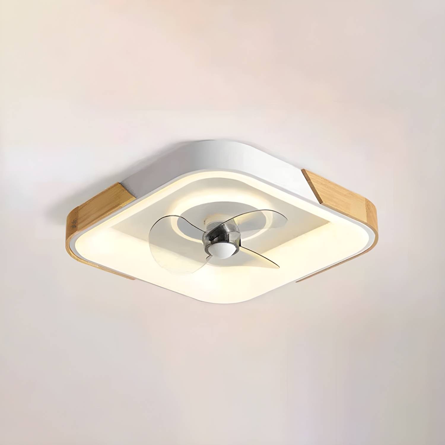 Imported image b2aab53b602c 3196047.jpg