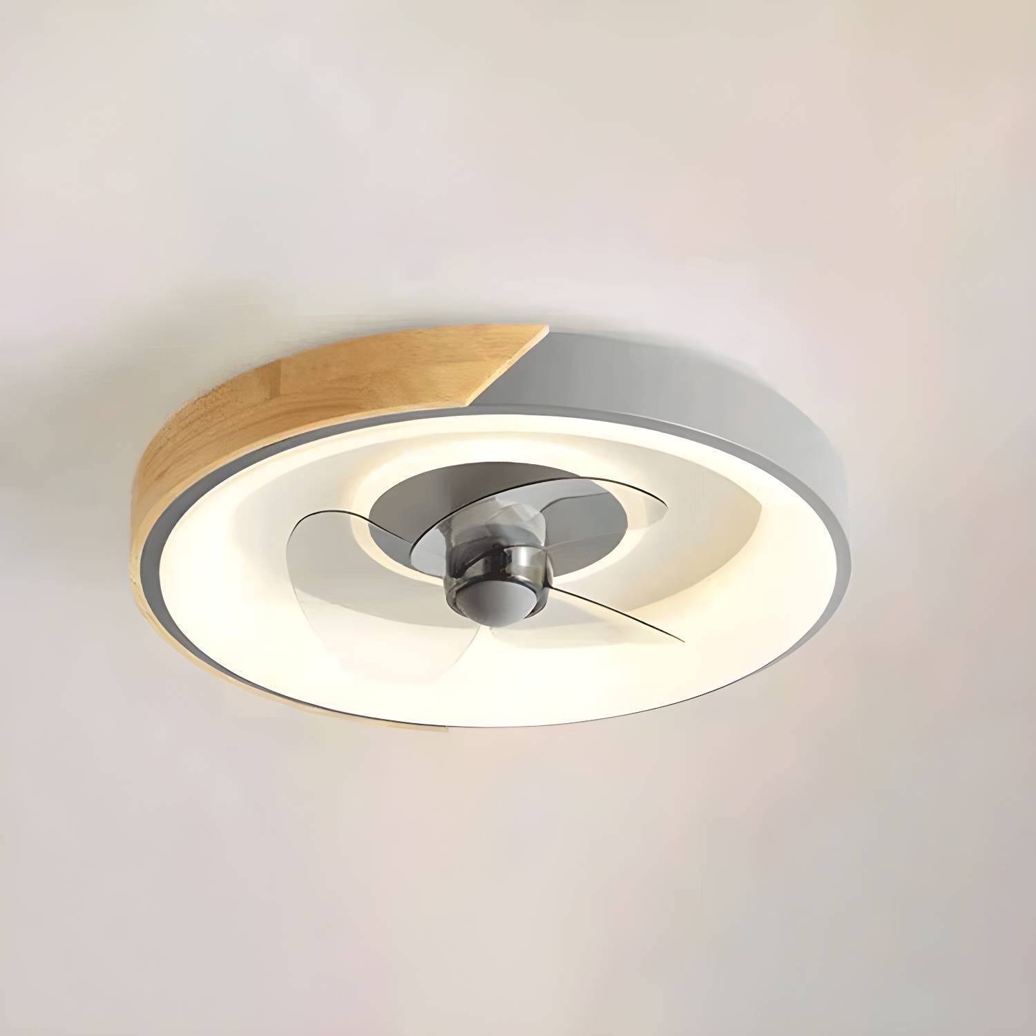 Imported image 33cf91773262 3196050.jpg