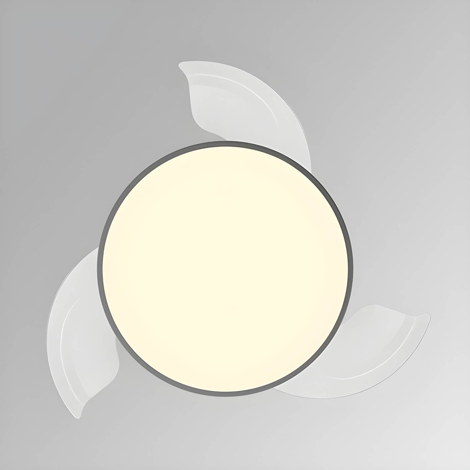 Imported image 9ca98cda4c5e 3196181.jpg