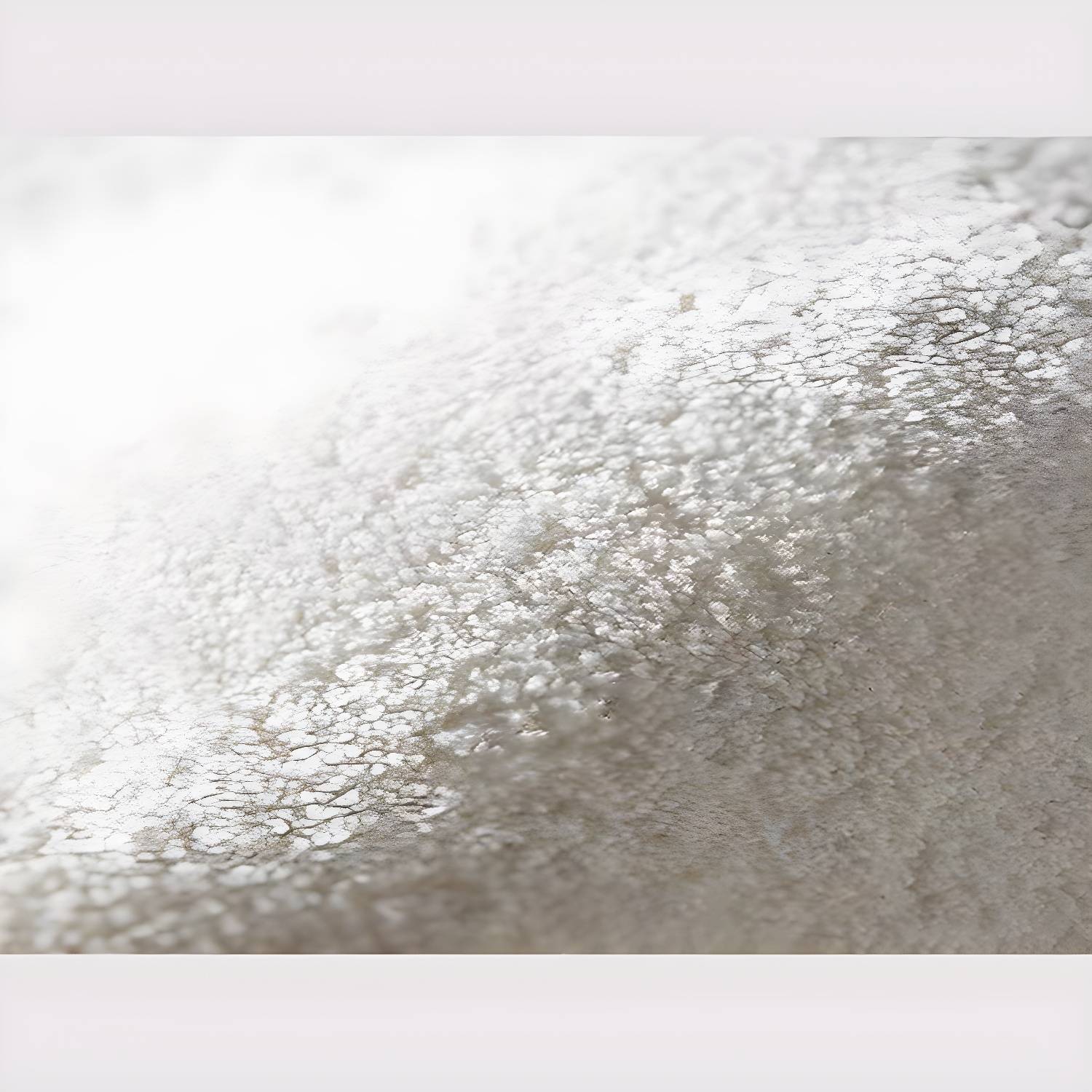 Imported image 7d565c64bc07 3196759.jpg