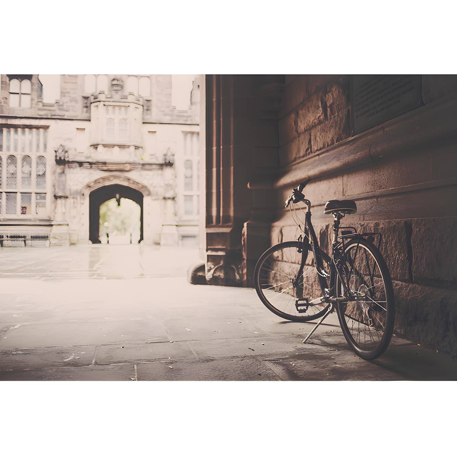 Imported image 10f87be40422 3198114.jpg