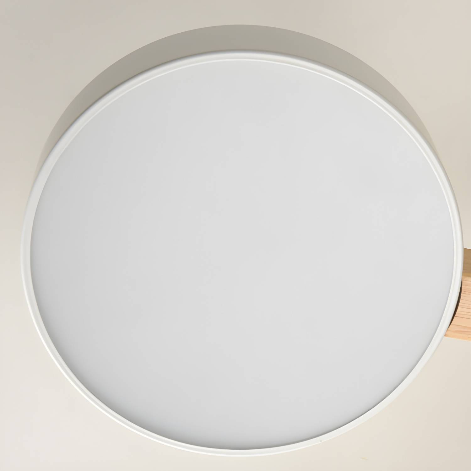 Imported image cf0f006b87fc 3199014.jpg