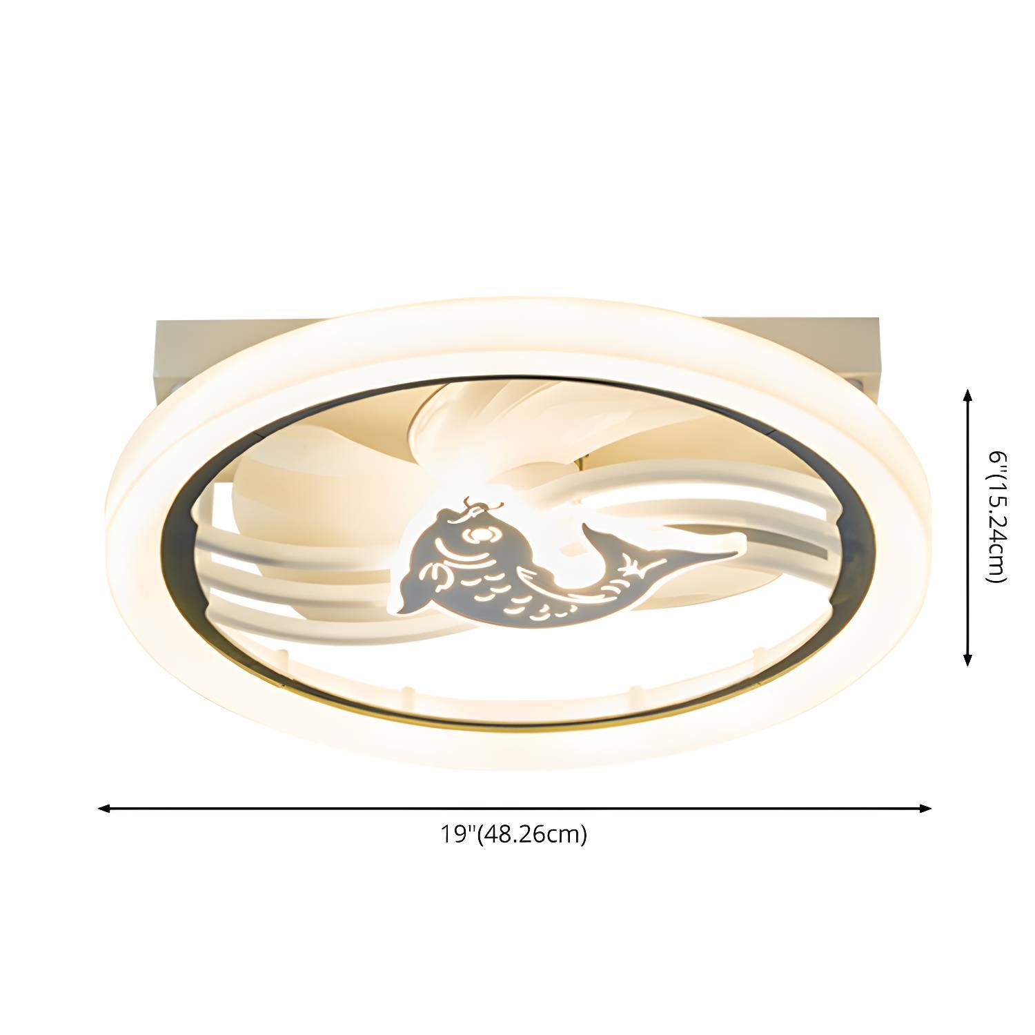 Imported image ef6015f32ac0 3199545.jpg