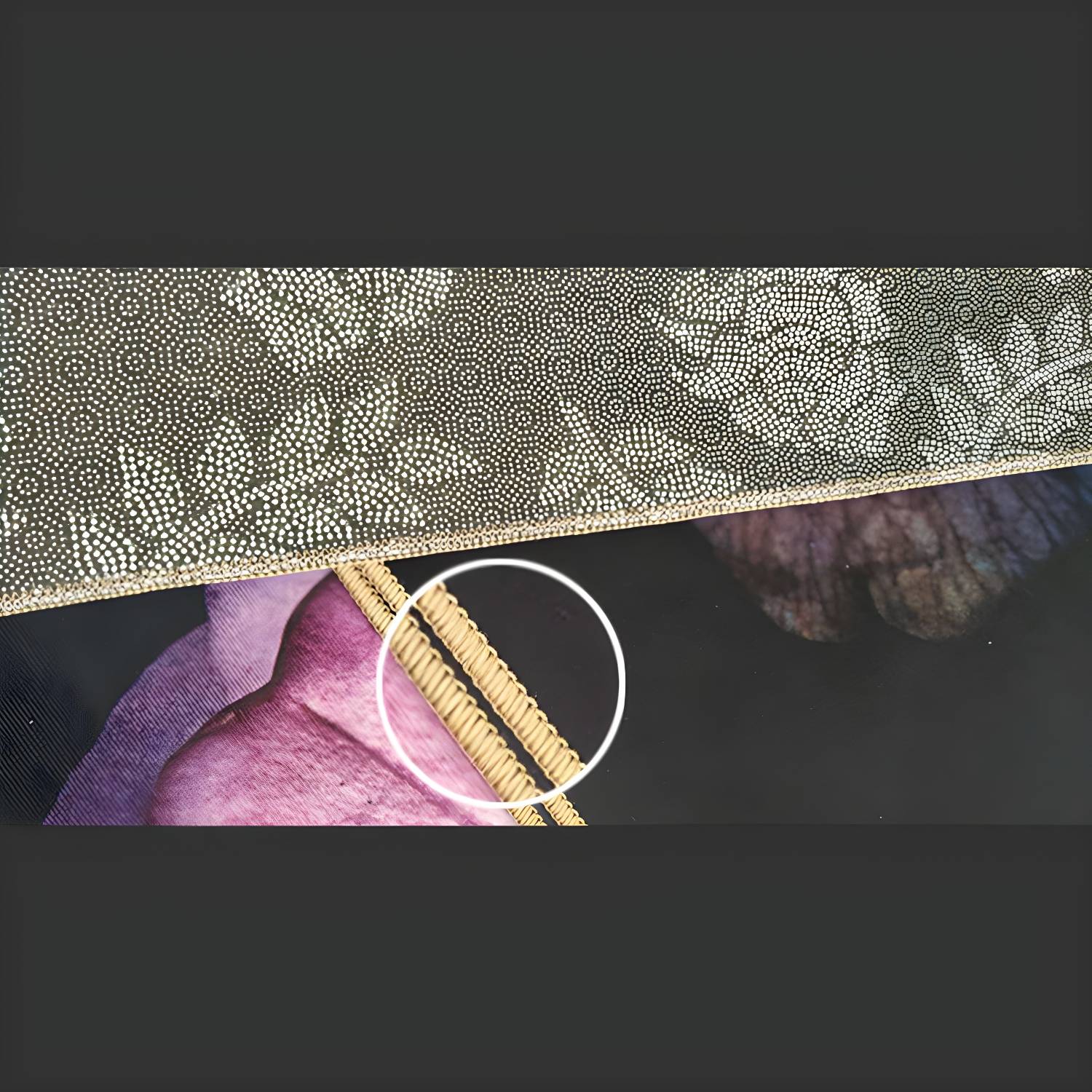 Imported image d07ee8ce59bf 3208062.jpg