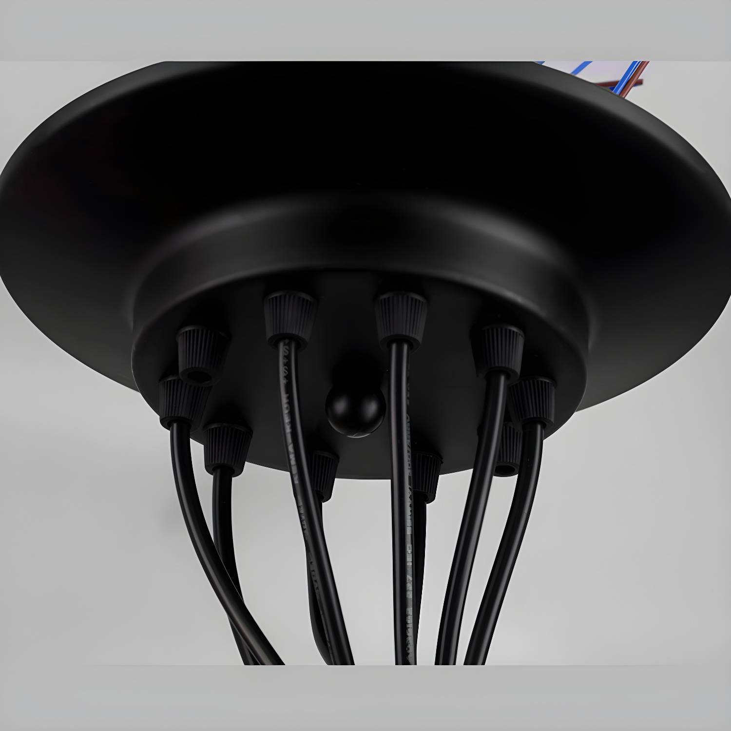 Imported image e606162ccd1c 3211439.jpg