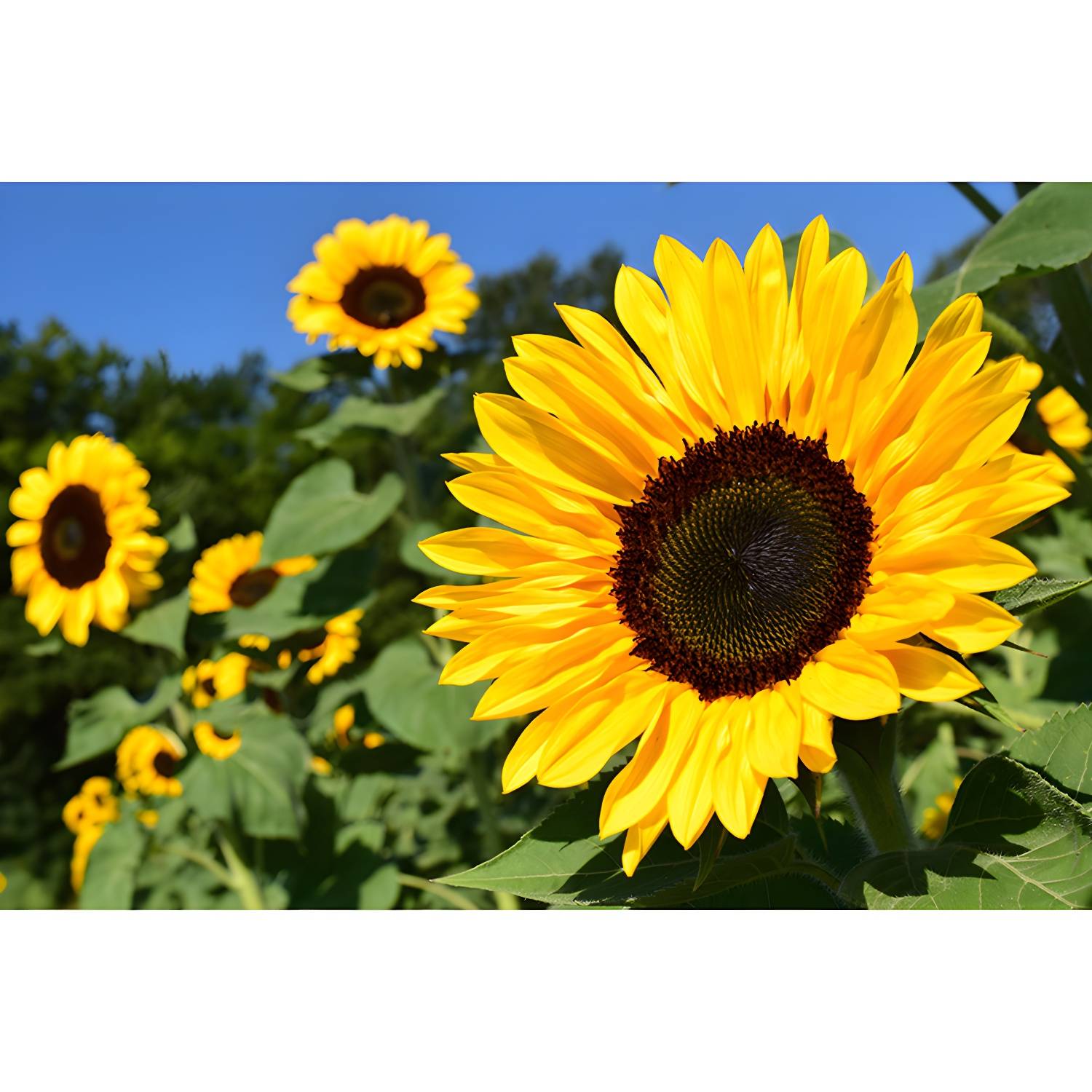 Imported image e5c1181bb755 3213547.jpg