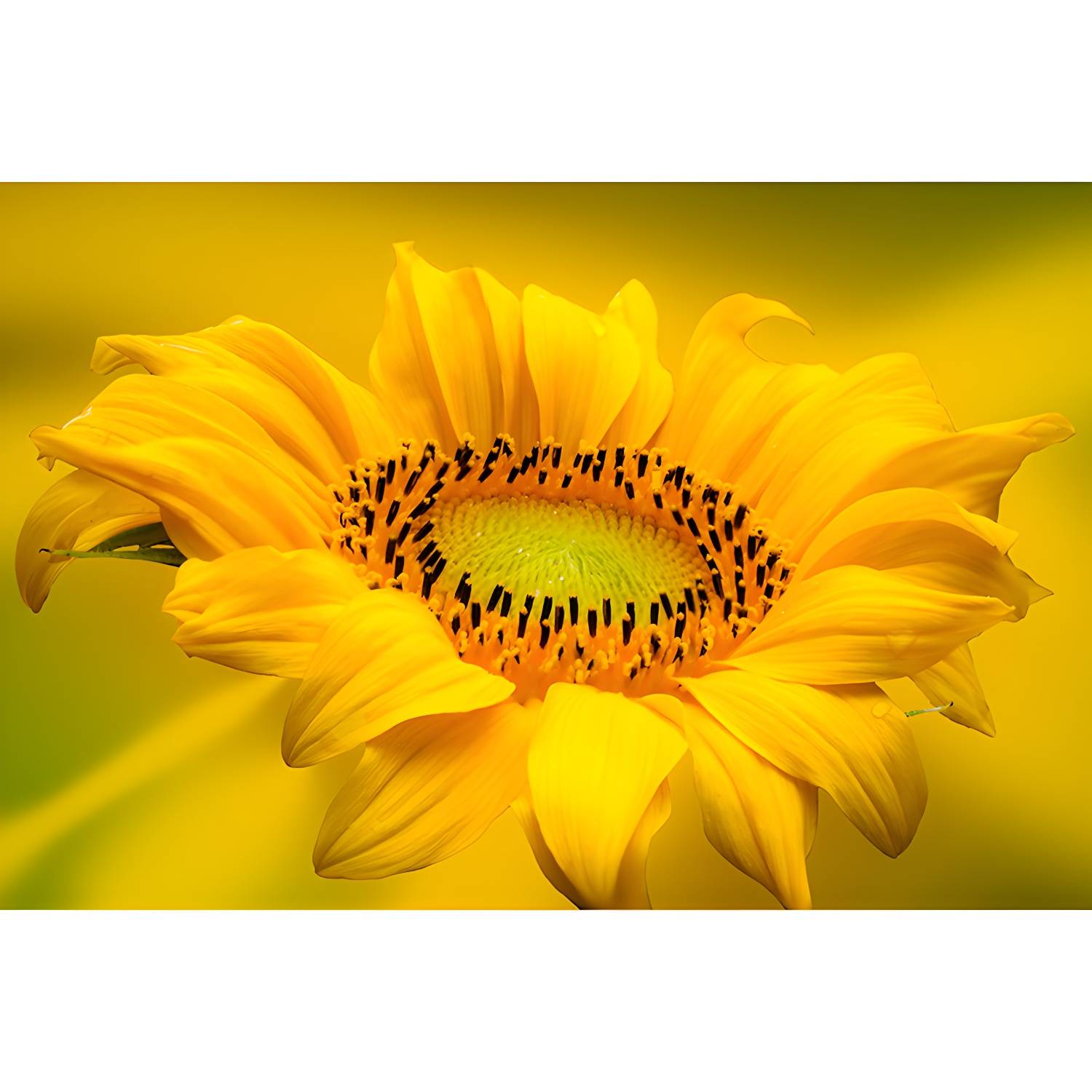 Imported image 304a5685b359 3213551.jpg