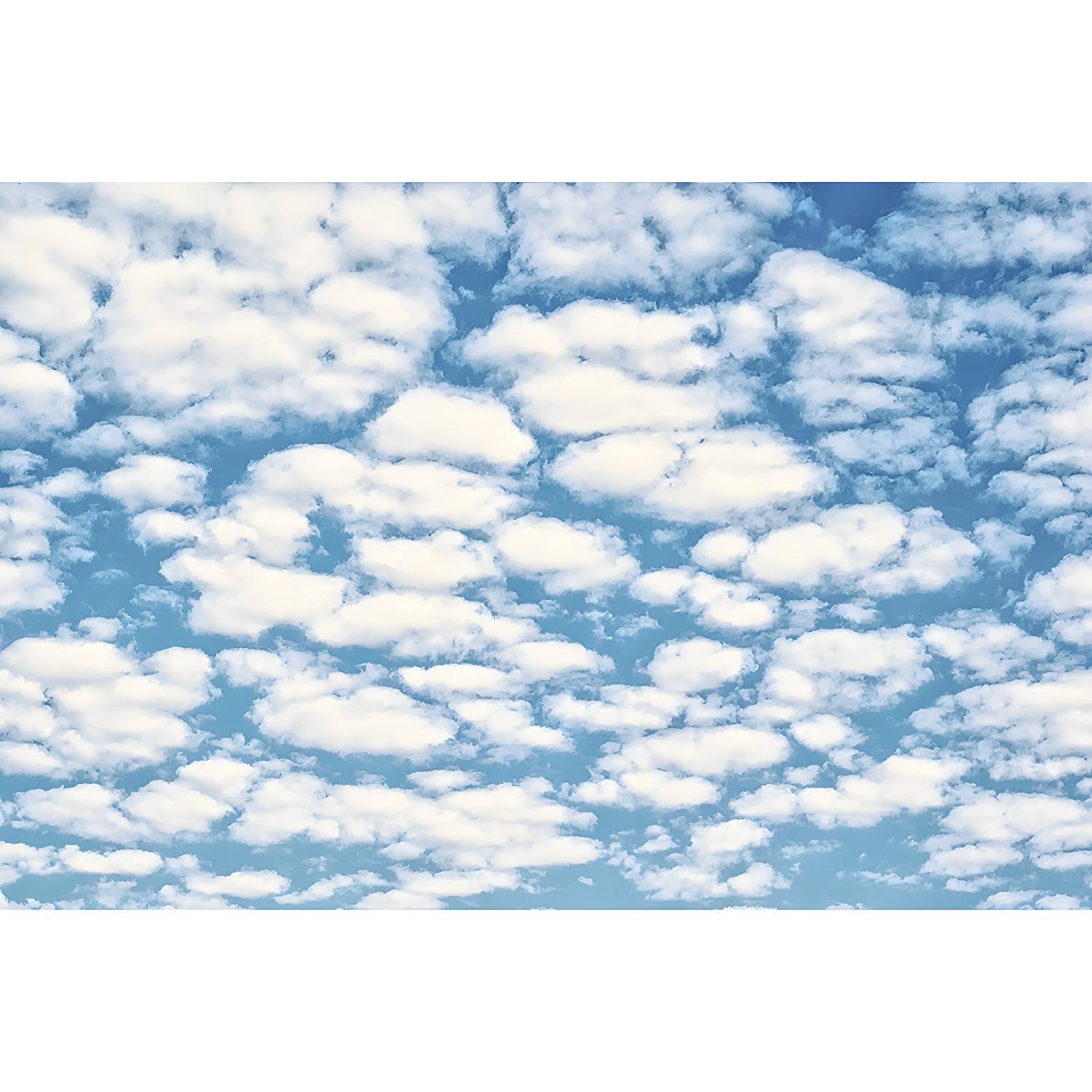 Imported image 311de90afc61 3213565.jpg