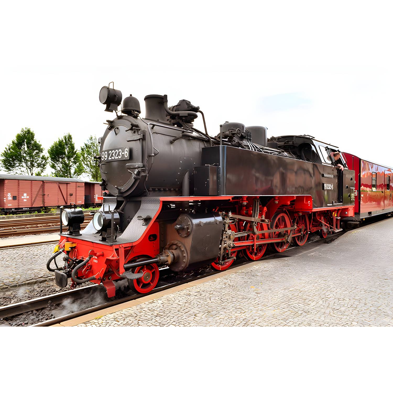 Imported image a4bd95a11e38 3213609.jpg