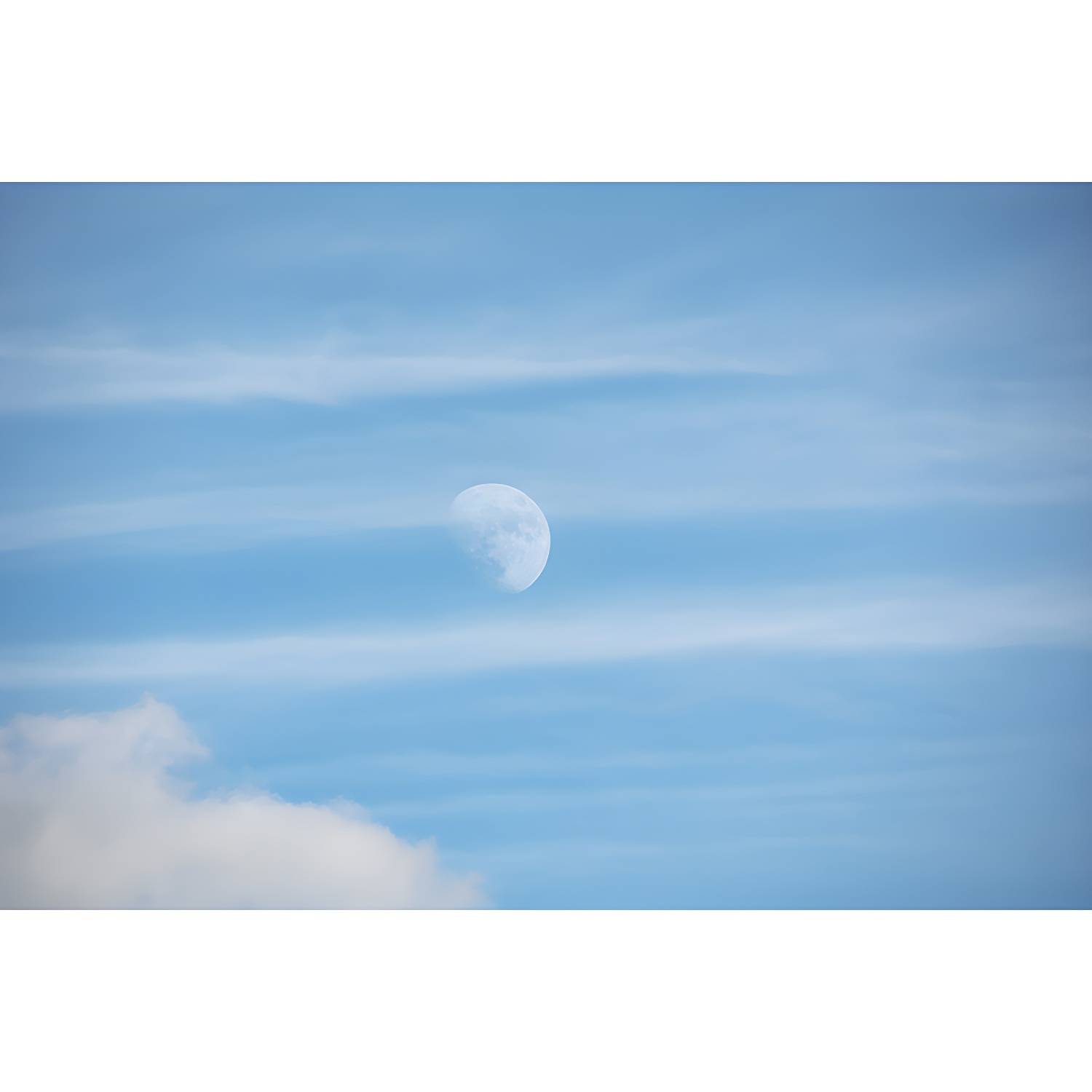 Imported image 122b0572654e 3213627.jpg